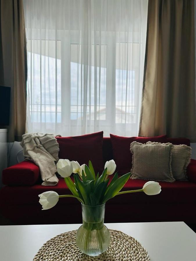 Vila Primavera Vama Veche Eksteriør bilde